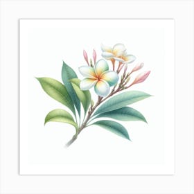 Plumeria 1 Art Print