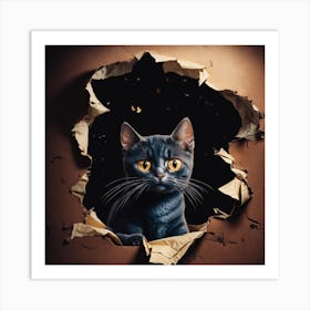 Cat Through A Hole Art Print