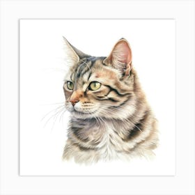 American Bobtail Cat Portrait Art Print