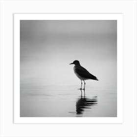 Sandpiper 3 Art Print