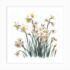 Flowers of Narcissus 3 Art Print