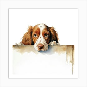 Spaniel Welsh Springer 4 Art Print