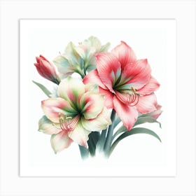 Hippeastrum 2 Art Print