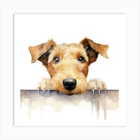 Irish Terrier 13 Art Print