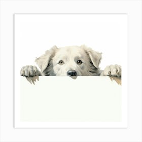 White Border Collie Art Print