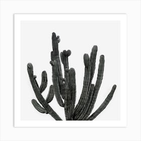 Black and White Cactus Art Print