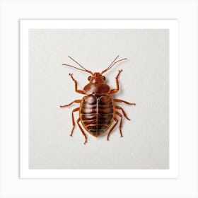 Cockroach Art Print