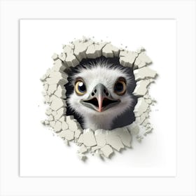 Emu Peeking Out Of A Hole Art Print