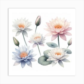 Water lily Art Print