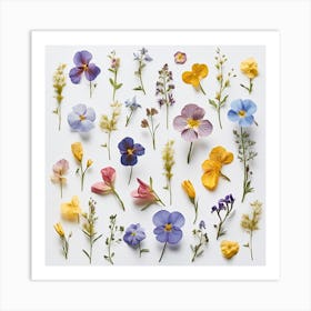 Dried Wild Flowers 13 Art Print