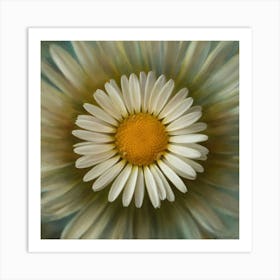 Daisy 1 Art Print