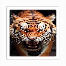 Angry Tiger 1 Art Print