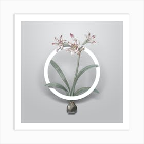 Vintage Amaryllis Minimalist Botanical Geometric Circle on Soft Gray n.0083 Art Print
