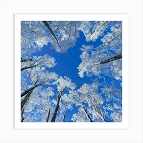 Snowy Forest Photo 1 Art Print