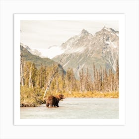Grizzly Bear In Lake Square Art Print