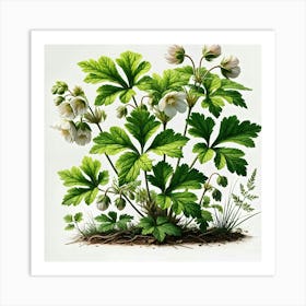 Botanical Flowers Art Print