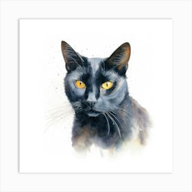 California Spangled Black Cat Portrait 1 Art Print