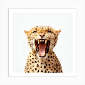 Cheetah 3 Art Print