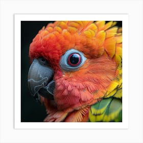 Parrot, Parrots, Parrots Art Print