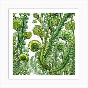 Ferns 6 Art Print