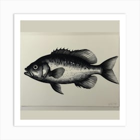 Bass Fish Art Print