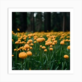 Yellow Flowers In The Forest Art Print