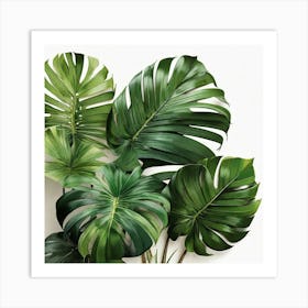 Tropical Leaves Art Print