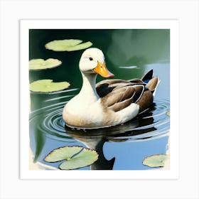 Duck In Water 4 Art Print