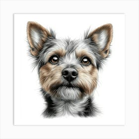 Australian Terrier 1 Art Print