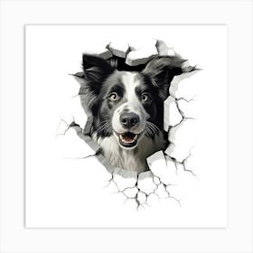 Border Collie 3 Art Print