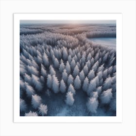 Aerial Photography Of A Winter Forest 1 Art Print