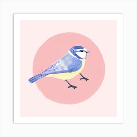 Blue Tit Art Print