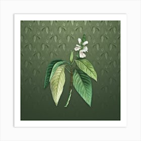 Vintage Malabar Nut Botanical on Lunar Green Pattern n.2397 Art Print