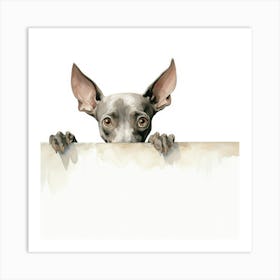 Xoloitzcuintli Dog Art Print