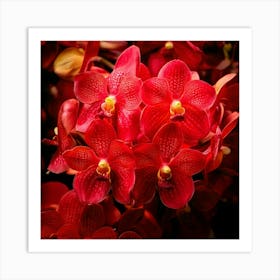 Firefly Vibrant Explosion Of Red Orchids In Full Bloom 23429 Art Print