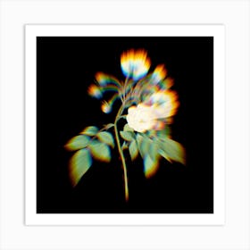 Prism Shift Adelia Aurelianensis Botanical Illustration on Black n.0329 Art Print