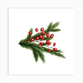 Fir Branches And Lingonberry Art Print