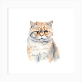 Scottish Fold Shorthair Cat Portrait 3 Art Print