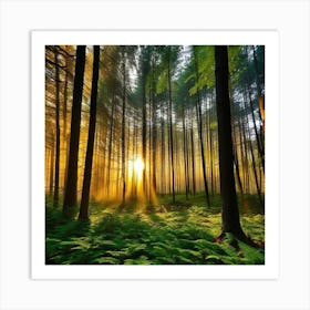 Sunrise In The Forest 36 Art Print