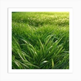 Grass Field 24 Art Print