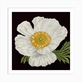 White Poppy Art Print