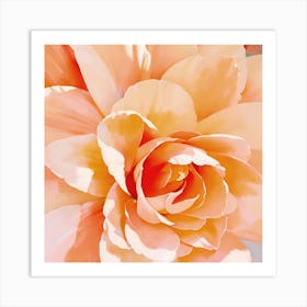 Peach Rose Art Print