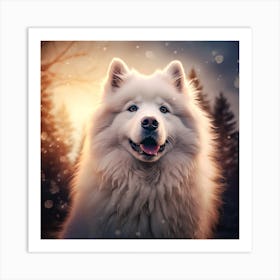 Samoyed Dog Art Print