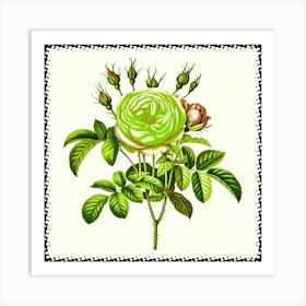 Green Rose Art Print