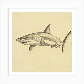 Mako Shark Vintage Illustration 5 Art Print