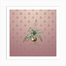 Vintage Lachenalia Lanceaefolia Botanical on Dusty Pink Pattern n.0959 Art Print
