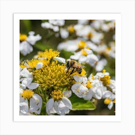 Bee On A Flower 4 Art Print