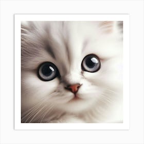 White Cat With Big Eyes 1 Art Print