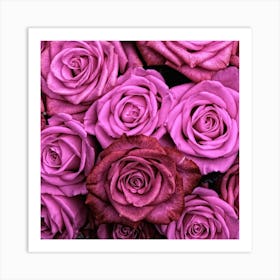 Pink Roses Art Print