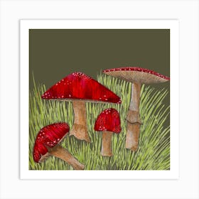 Mushrooms 1 Art Print